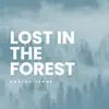 Analog Jungs - Lost In the Forest - Single